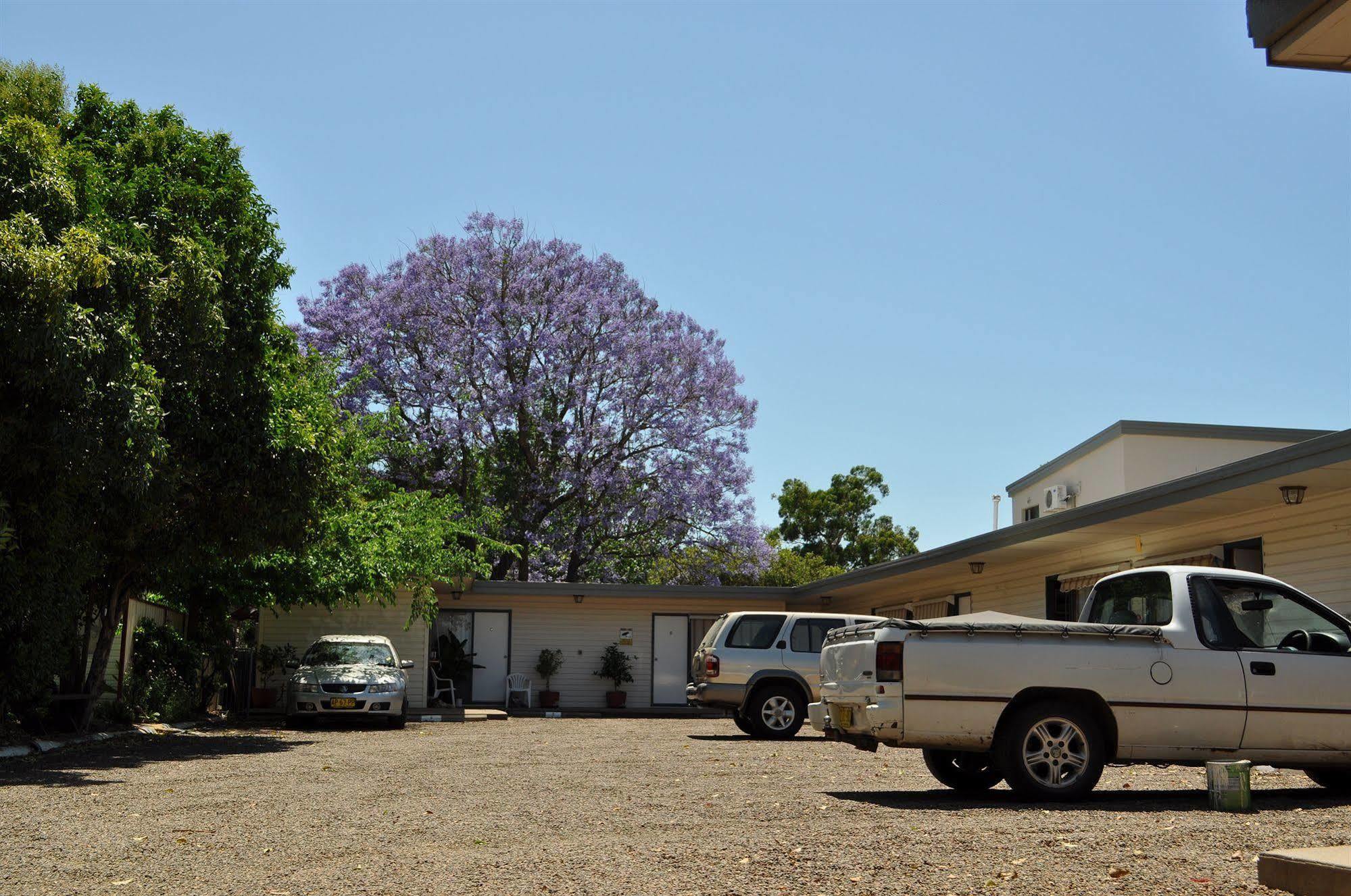 Red Cedar Motel Muswellbrook Εξωτερικό φωτογραφία